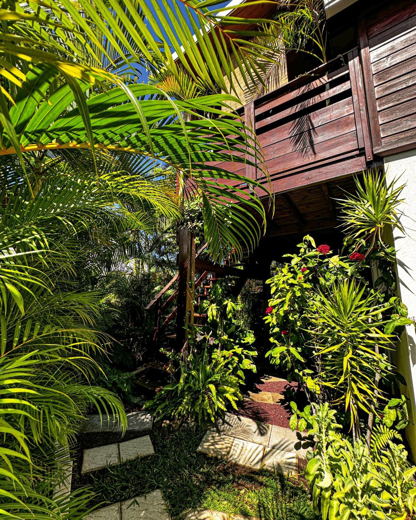 P'Ti Coin Zen Saint-Gilles-les-Bains Exterior foto